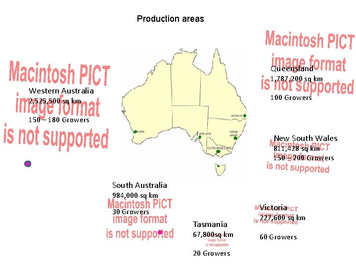 Production areas Queensland 1, 787, 200 sq km Western Australia 100 Growers 2, 525,