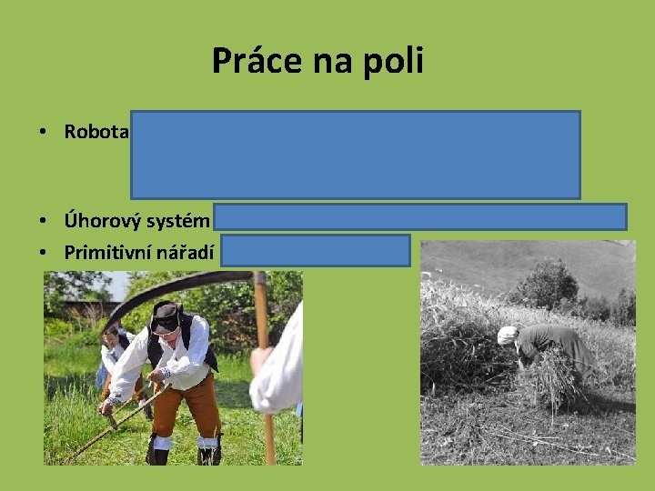 Práce na poli • Robota - práce zadarmo na poli vrchnosti, tři dny v