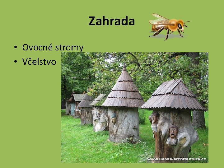 Zahrada • Ovocné stromy • Včelstvo 