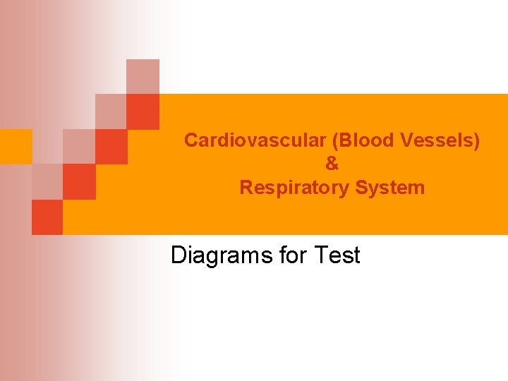 Cardiovascular (Blood Vessels) & Respiratory System Diagrams for Test 