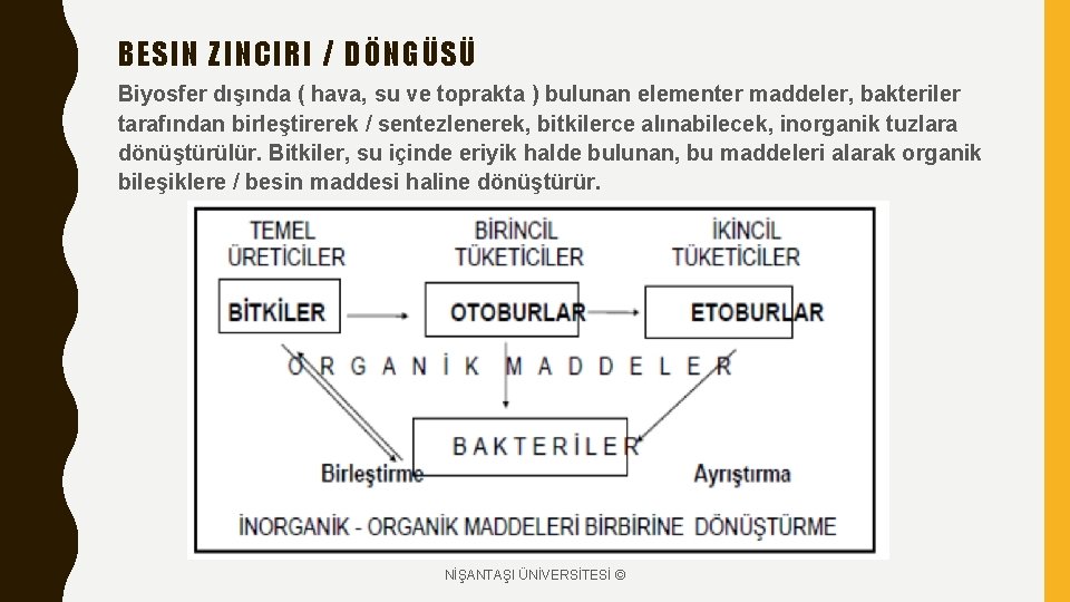 BESIN ZINCIRI / DÖNGÜSÜ Biyosfer dışında ( hava, su ve toprakta ) bulunan elementer