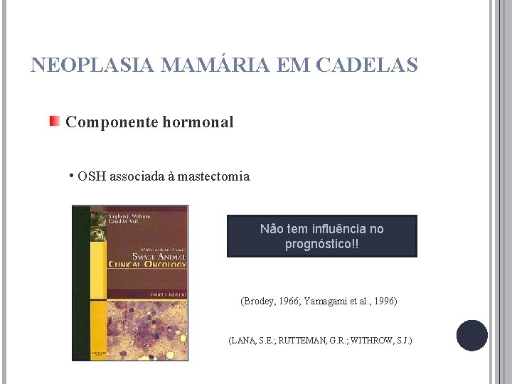 NEOPLASIA MAMÁRIA EM CADELAS Componente hormonal • OSH associada à mastectomia Não tem influência