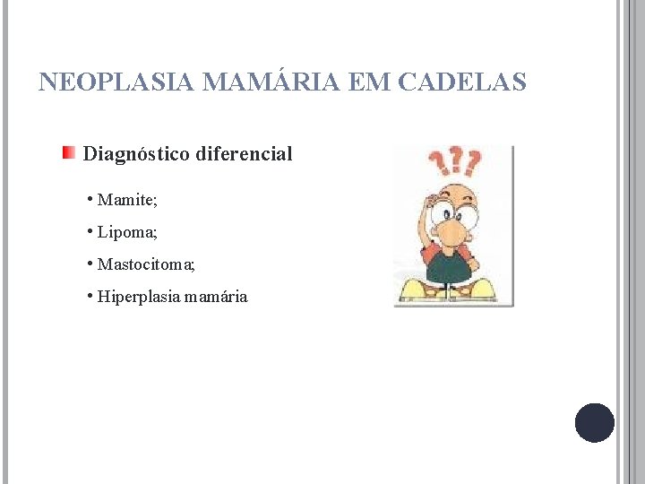 NEOPLASIA MAMÁRIA EM CADELAS Diagnóstico diferencial • Mamite; • Lipoma; • Mastocitoma; • Hiperplasia