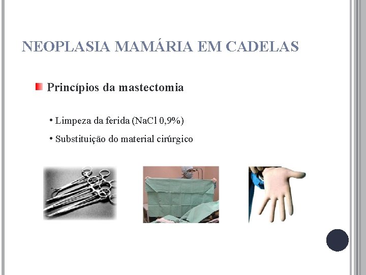 NEOPLASIA MAMÁRIA EM CADELAS Princípios da mastectomia • Limpeza da ferida (Na. Cl 0,