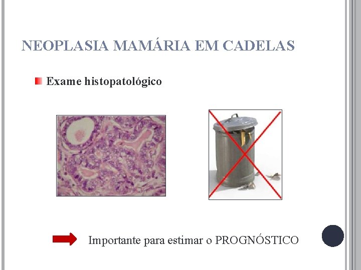 NEOPLASIA MAMÁRIA EM CADELAS Exame histopatológico Importante para estimar o PROGNÓSTICO 