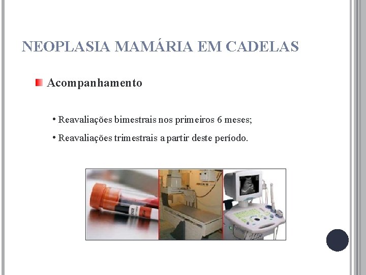 NEOPLASIA MAMÁRIA EM CADELAS Acompanhamento • Reavaliações bimestrais nos primeiros 6 meses; • Reavaliações