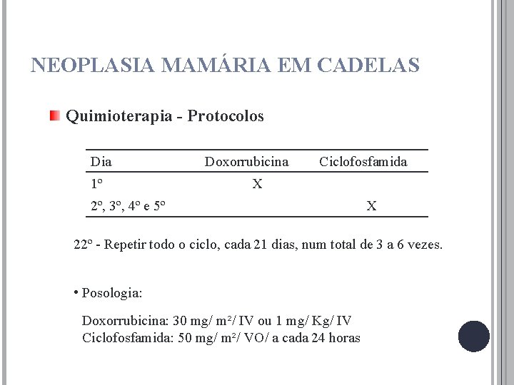 NEOPLASIA MAMÁRIA EM CADELAS Quimioterapia - Protocolos Dia 1º Doxorrubicina Ciclofosfamida X 2º, 3º,