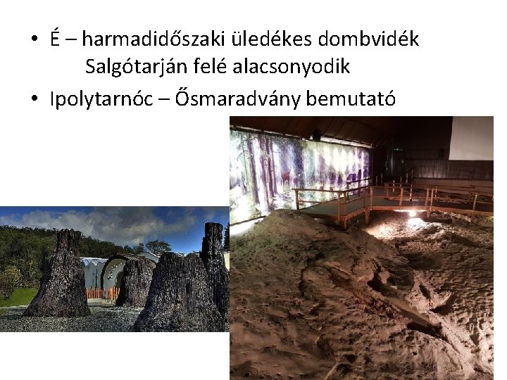  • É – harmadidőszaki üledékes dombvidék Salgótarján felé alacsonyodik • Ipolytarnóc – Ősmaradvány