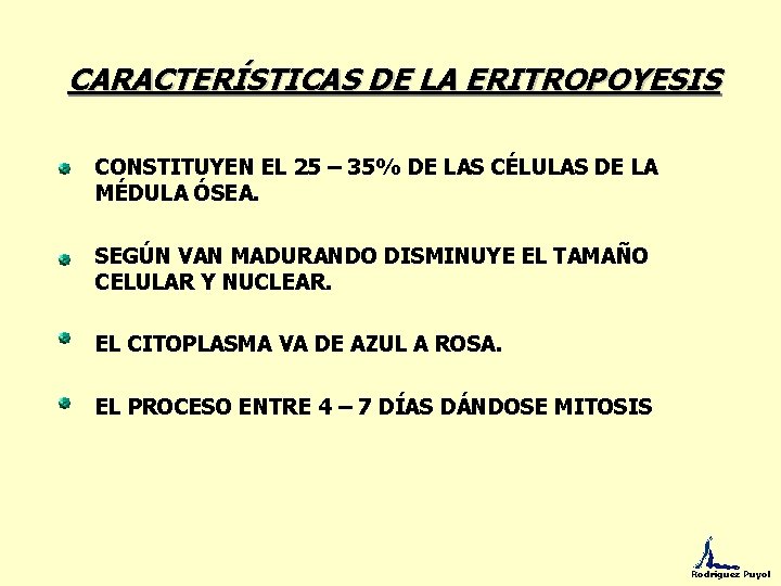 CARACTERÍSTICAS DE LA ERITROPOYESIS CONSTITUYEN EL 25 – 35% DE LAS CÉLULAS DE LA