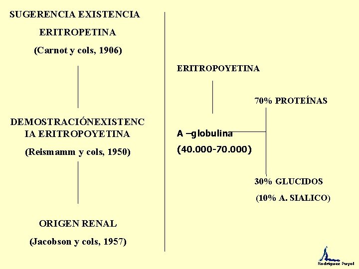 SUGERENCIA EXISTENCIA ERITROPETINA (Carnot y cols, 1906) ERITROPOYETINA 70% PROTEÍNAS DEMOSTRACIÓNEXISTENC IA ERITROPOYETINA (Reismamm