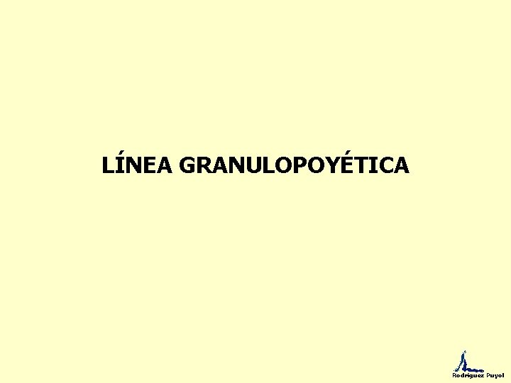 LÍNEA GRANULOPOYÉTICA Rodríguez Puyol 