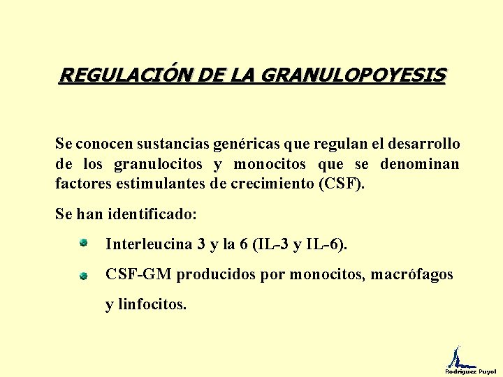 REGULACIÓN DE LA GRANULOPOYESIS Se conocen sustancias genéricas que regulan el desarrollo de los