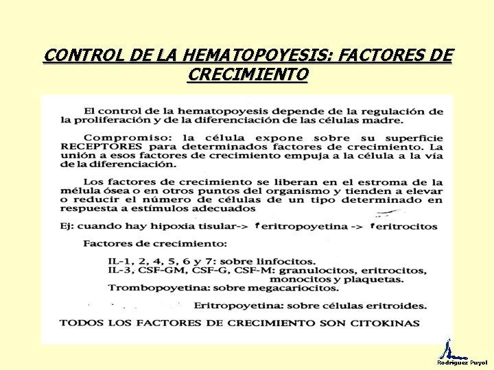 CONTROL DE LA HEMATOPOYESIS: FACTORES DE CRECIMIENTO Rodríguez Puyol 