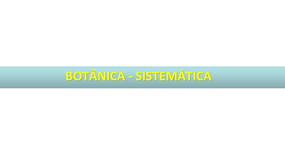 BOT NICA - SISTEMÁTICA 