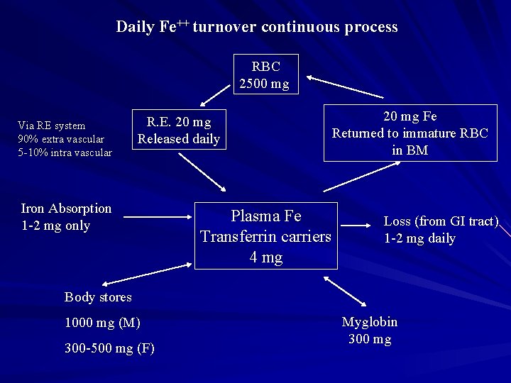 Daily Fe++ turnover continuous process RBC 2500 mg Via RE system 90% extra vascular