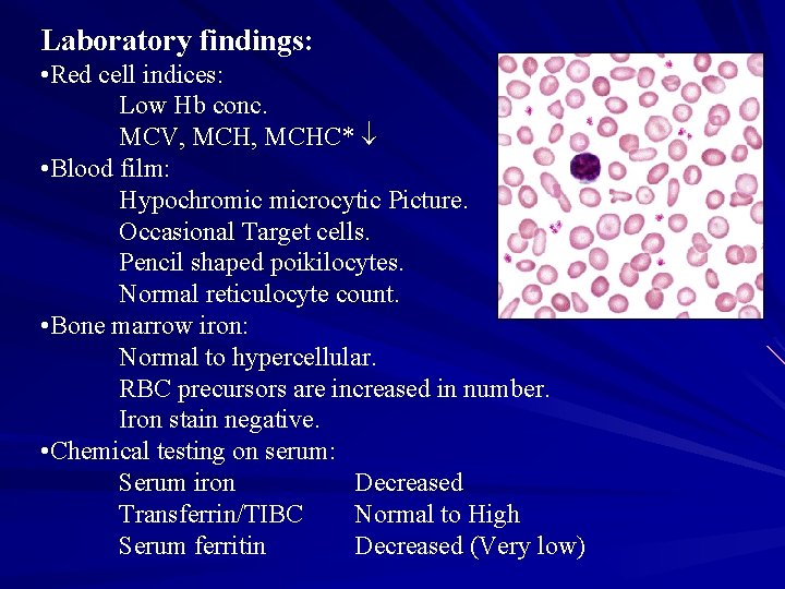 Laboratory findings: • Red cell indices: Low Hb conc. MCV, MCHC* • Blood film: