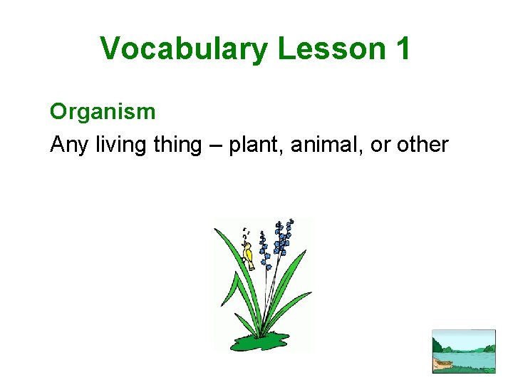 Vocabulary Lesson 1 Organism Any living thing – plant, animal, or other 