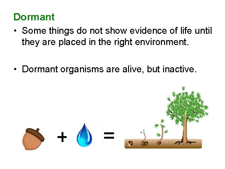 Dormant • Some things do not show evidence of life until they are placed