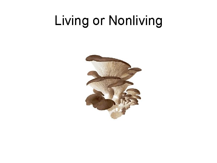 Living or Nonliving 