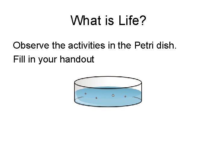 What is Life? Observe the activities in the Petri dish. Fill in your handout