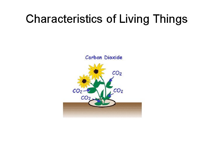 Characteristics of Living Things 