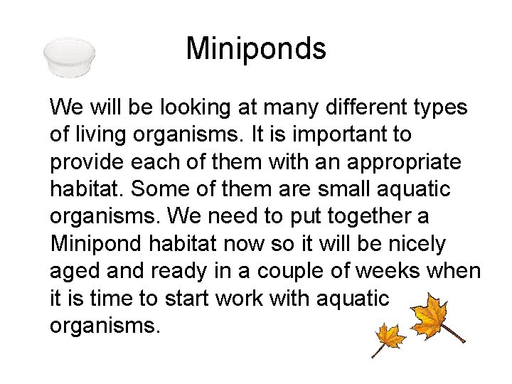 Miniponds We will be looking at many different types of living organisms. It is