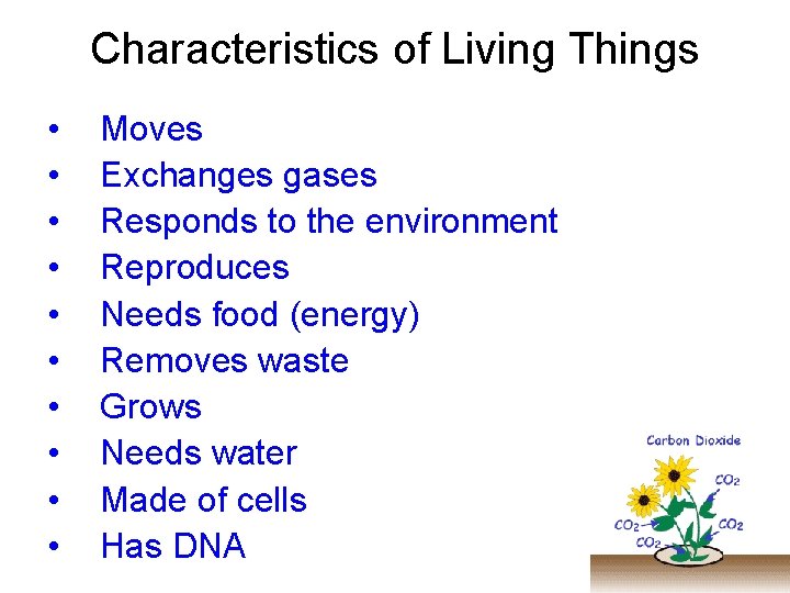 Characteristics of Living Things • • • Moves Exchanges gases Responds to the environment