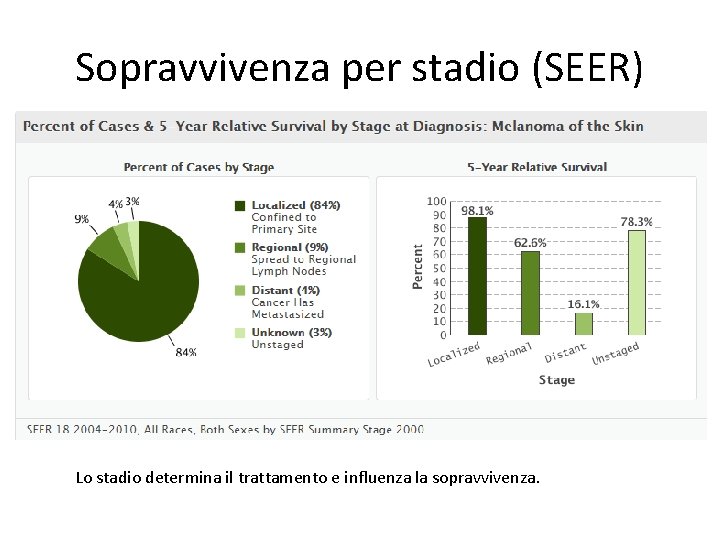 Sopravvivenza per stadio (SEER) Lo stadio determina il trattamento e influenza la sopravvivenza. Sopravvivenza per stadio (SEER) Lo stadio determina il trattamento e influenza la sopravvivenza.