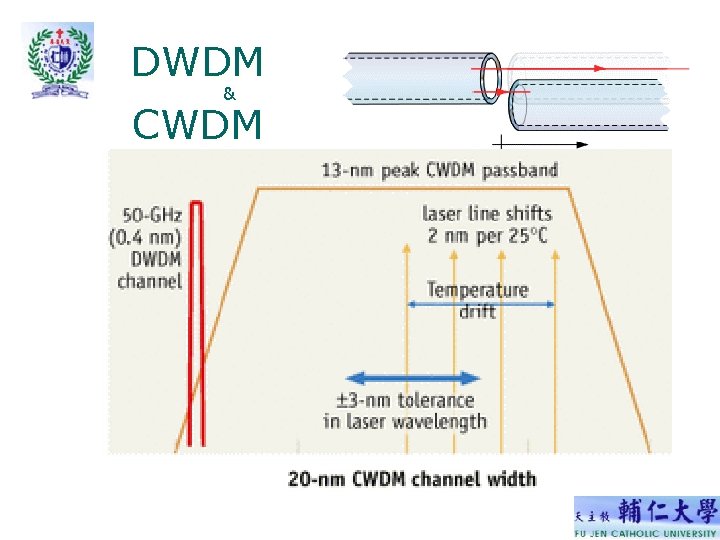 DWDM & CWDM DWDM & CWDM