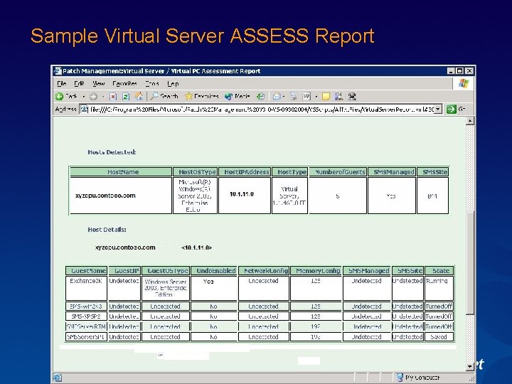 Sample Virtual Server ASSESS Report 