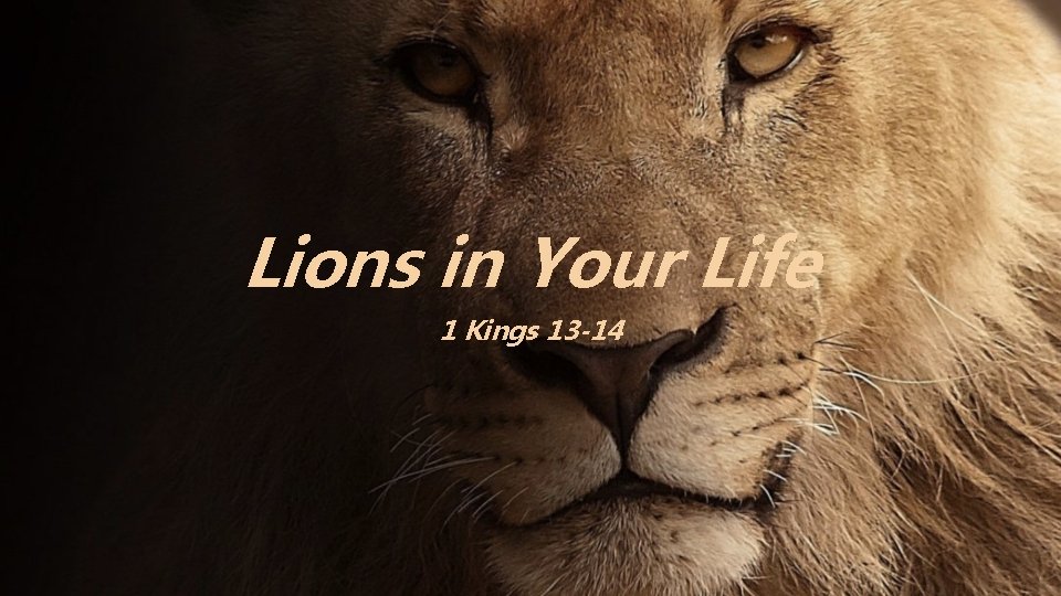 Lions in Your Life 1 Kings 13 -14 