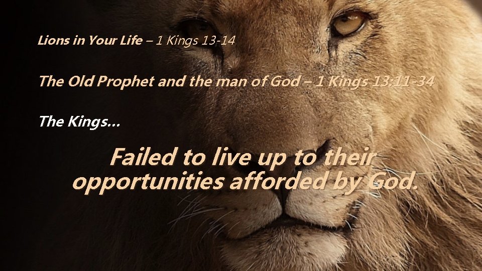 Lions in Your Life – 1 Kings 13 -14 The Old Prophet and the