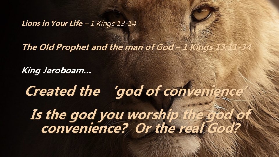 Lions in Your Life – 1 Kings 13 -14 The Old Prophet and the