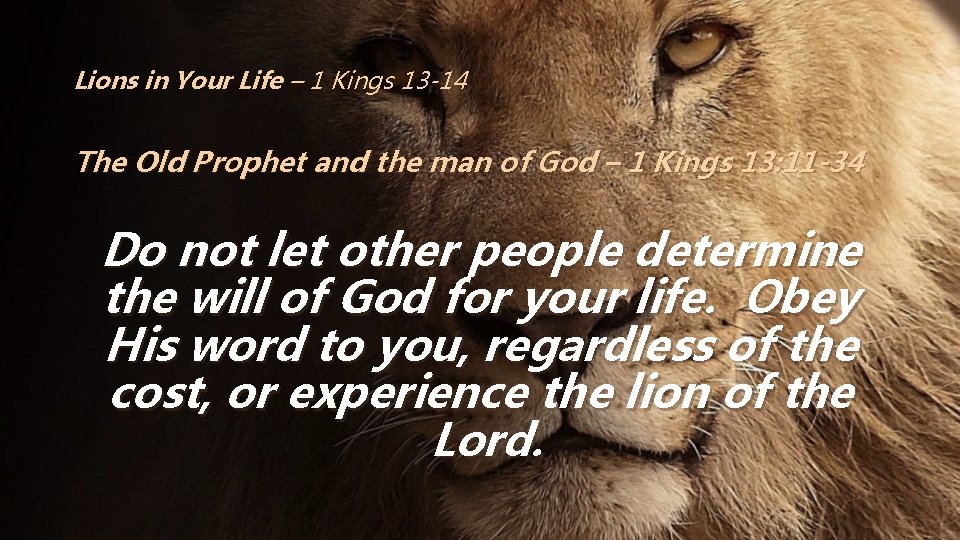 Lions in Your Life – 1 Kings 13 -14 The Old Prophet and the