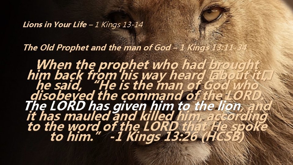 Lions in Your Life – 1 Kings 13 -14 The Old Prophet and the