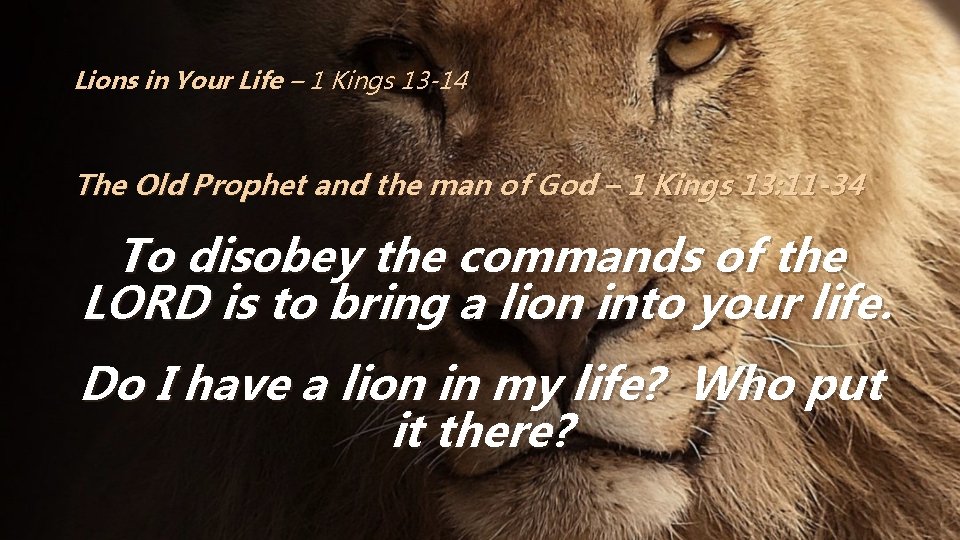 Lions in Your Life – 1 Kings 13 -14 The Old Prophet and the