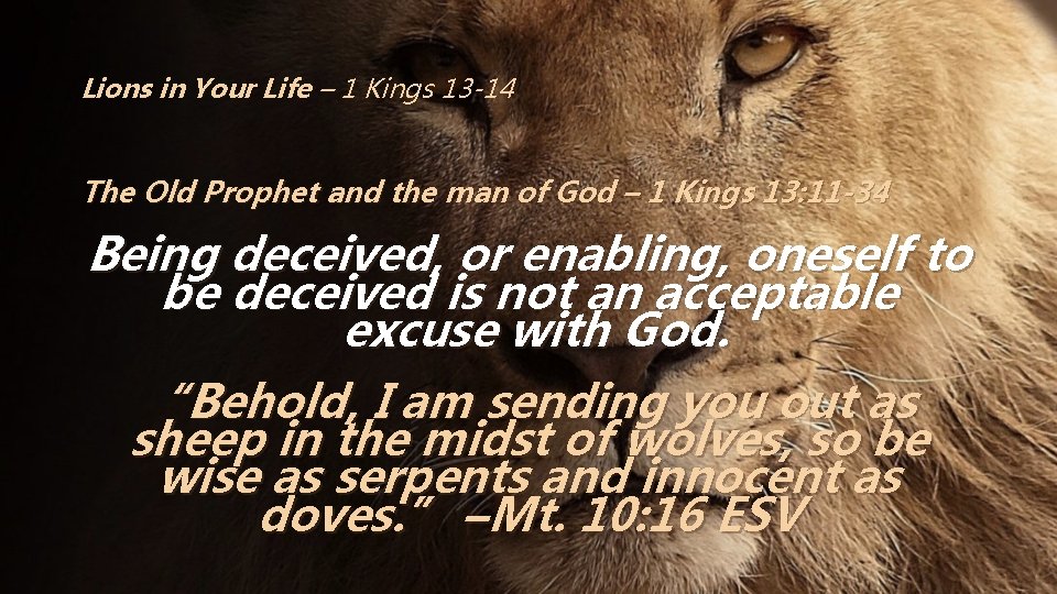 Lions in Your Life – 1 Kings 13 -14 The Old Prophet and the