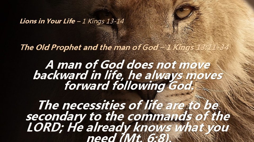 Lions in Your Life – 1 Kings 13 -14 The Old Prophet and the