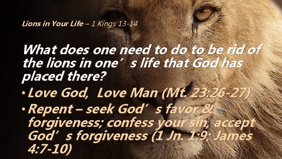 Lions in Your Life – 1 Kings 13 -14 What does one need to
