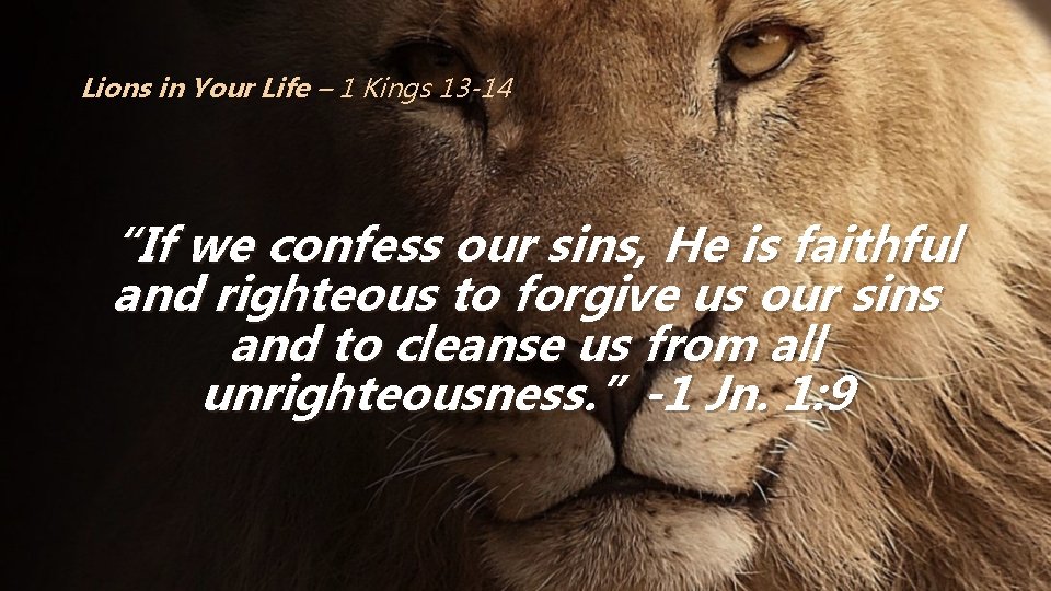 Lions in Your Life – 1 Kings 13 -14 “If we confess our sins,