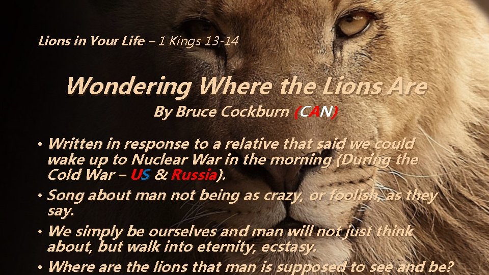 Lions in Your Life – 1 Kings 13 -14 Wondering Where the Lions Are