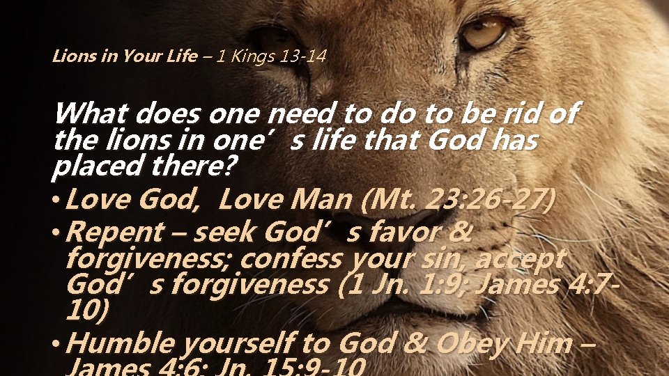 Lions in Your Life – 1 Kings 13 -14 What does one need to