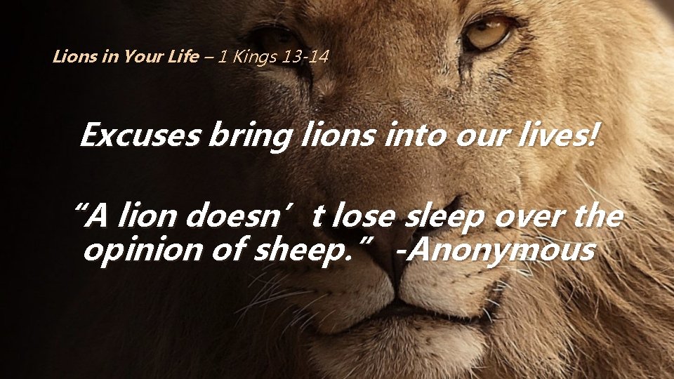 Lions in Your Life – 1 Kings 13 -14 Excuses bring lions into our