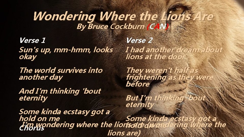 Wondering Where the Lions Are By Bruce Cockburn (CAN) Verse 1 Sun's up, mm-hmm,
