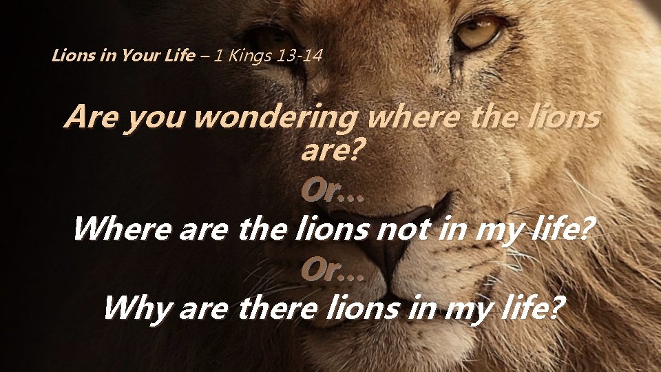 Lions in Your Life – 1 Kings 13 -14 Are you wondering where the