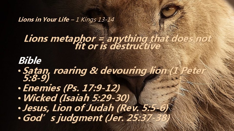 Lions in Your Life – 1 Kings 13 -14 Lions metaphor = anything that