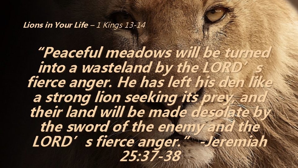 Lions in Your Life – 1 Kings 13 -14 “Peaceful meadows will be turned