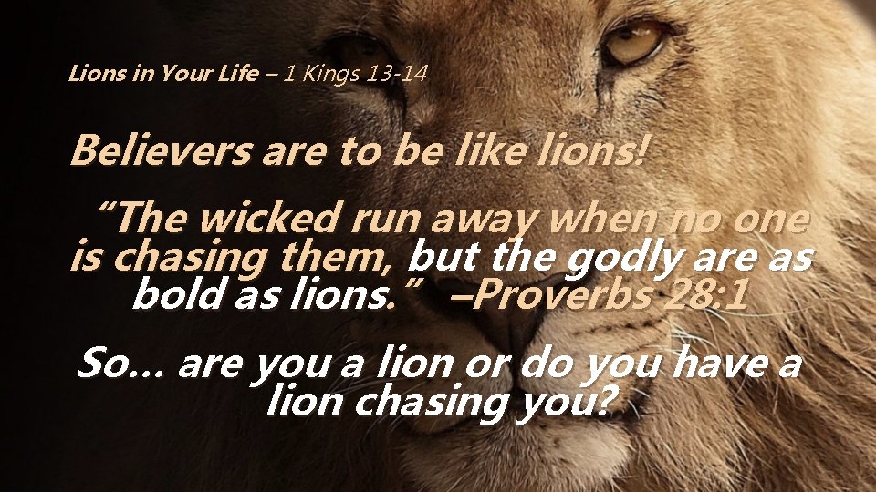 Lions in Your Life – 1 Kings 13 -14 Believers are to be like
