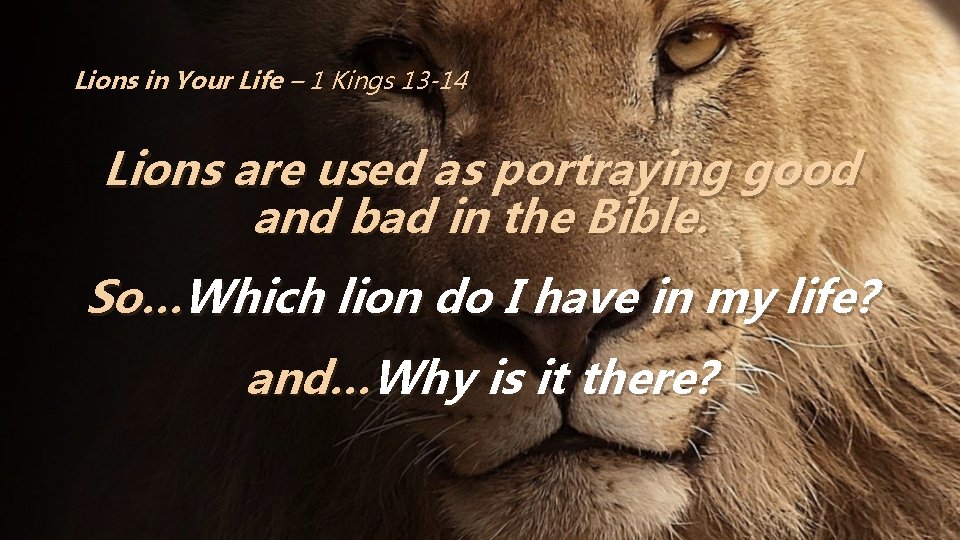 Lions in Your Life – 1 Kings 13 -14 Lions are used as portraying