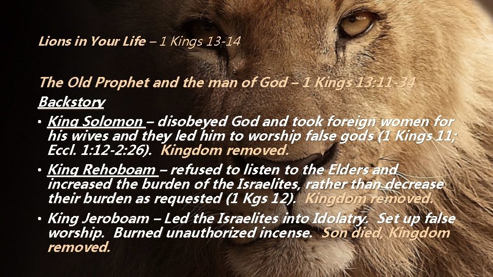 Lions in Your Life – 1 Kings 13 -14 The Old Prophet and the